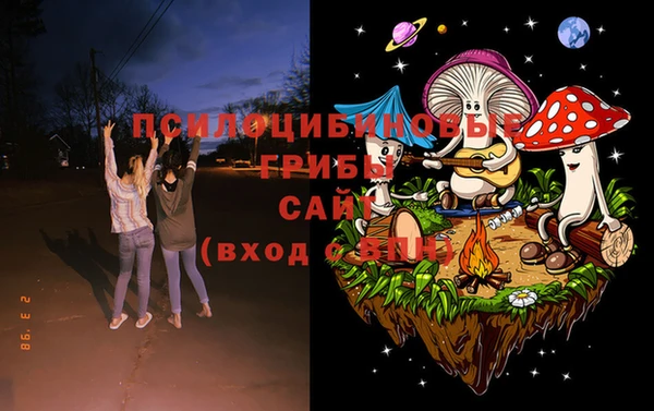 стафф Алексеевка
