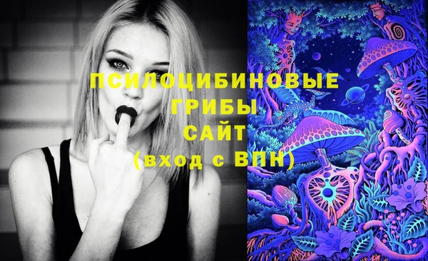 ECSTASY Алексин