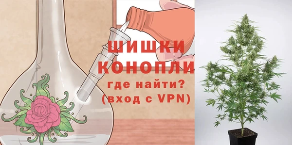 мдпв Саяногорск
